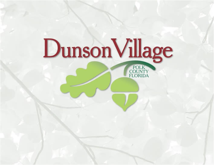 Dunson Vlision Book Cover